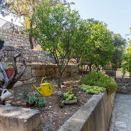 House Andrea Villa Lastovo Exterior photo
